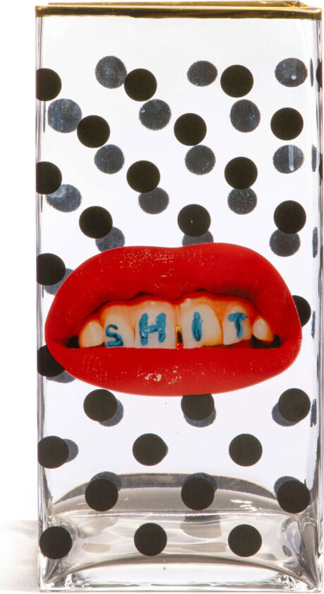 Glass Vase Big - Shit Pois