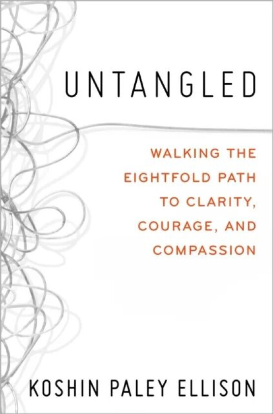 Untangled av Koshin Paley Ellison