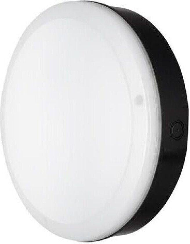 LEDV Overflateskott Utendørs 800lm 250mm 10W/840 IK10 so IP65