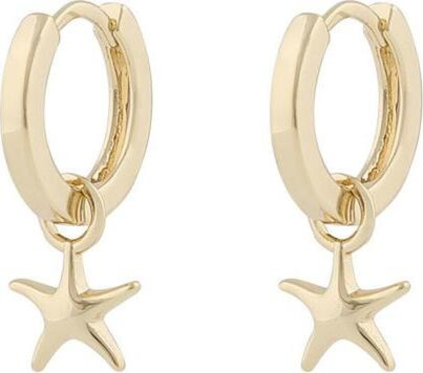 Snö Of Sweden Field Seastar Ring Earring Plain Gold