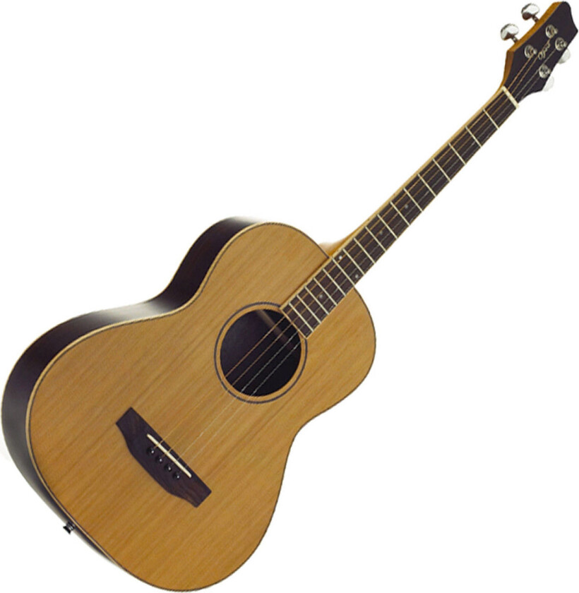 Tenor Guitar