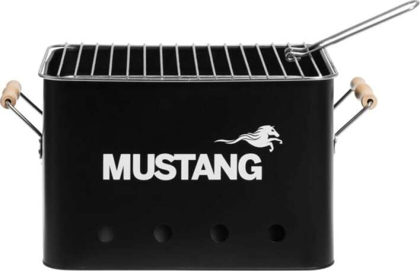 Mustang Kolgrill Party
