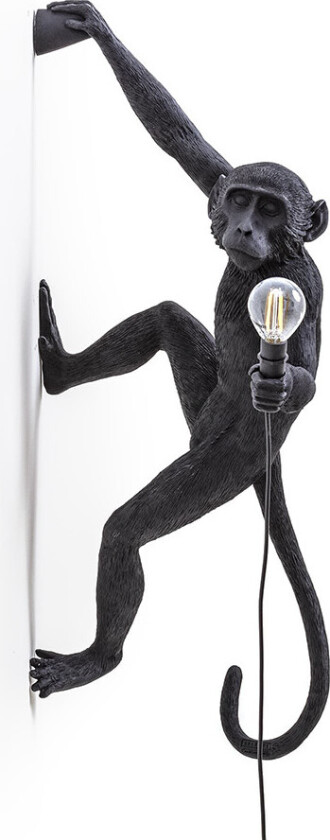 Monkey Lamp Outdoor Hanging Right Hand/Black
