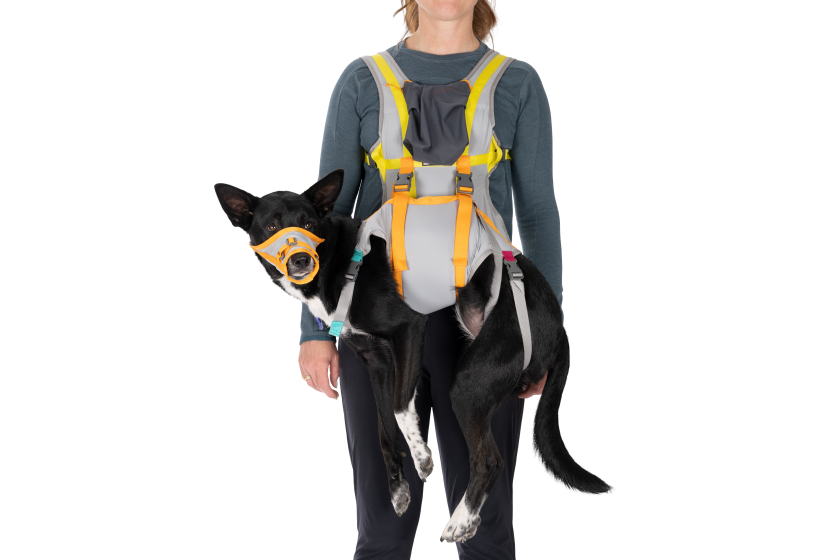 BackTrak Dog Evacuation Kit - Cloudburst Gray (M (69-81 cm))