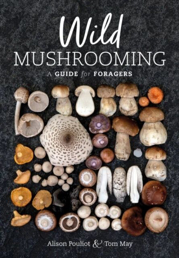 Wild Mushrooming av Ms Alison Pouliot, Tom May