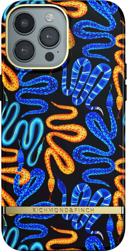 R&F telefondeksel til iPhone 13 Pro Max (snake pit)