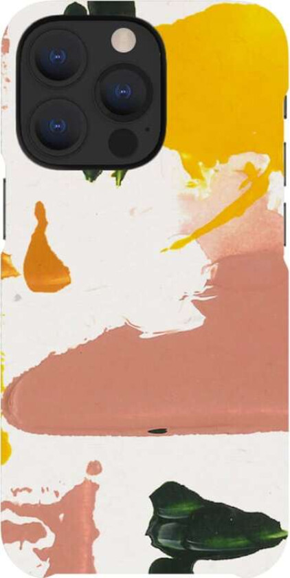 iPhone 13 Pro cover (colour splash)