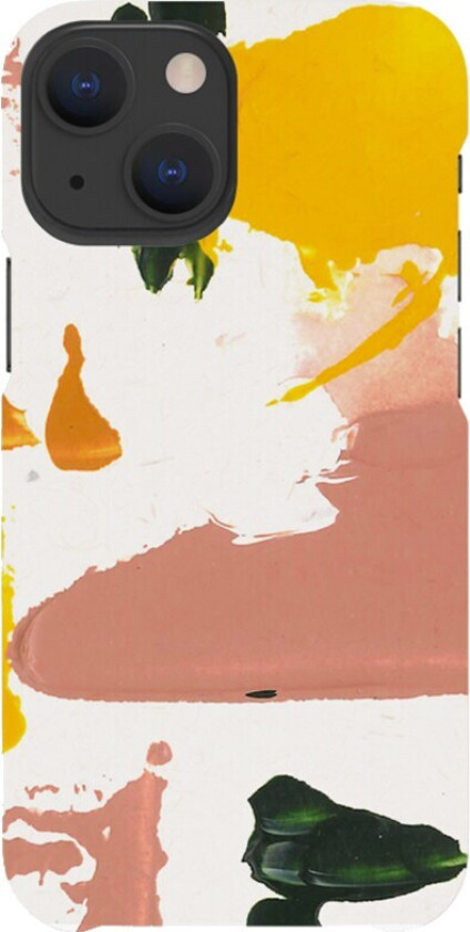 iPhone 13 Mini deksel (colour splash)