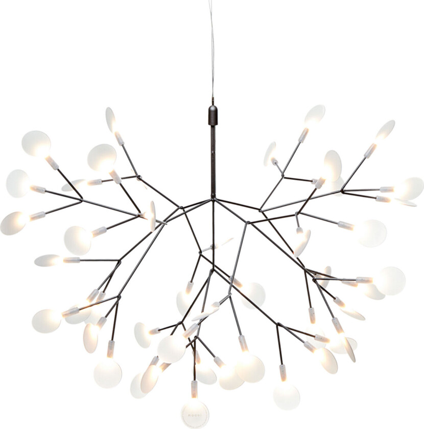 Heracleum III Suspended Small / Nickel