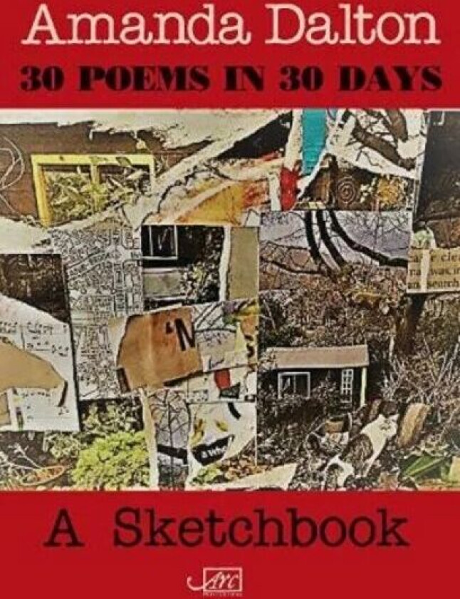 30 Poems in 30 Days av Amanda Dalton