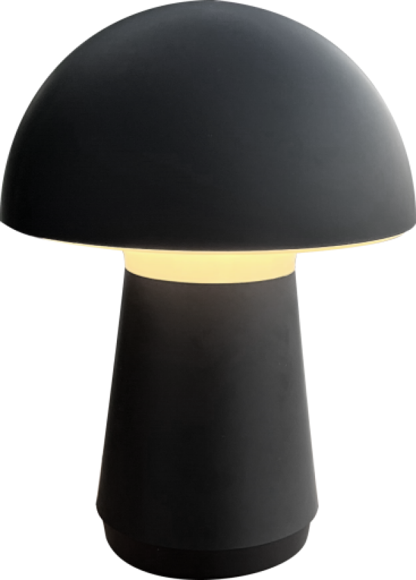 Oppladbar berøringslampe Silkematt svart, inkludert USB-kabel