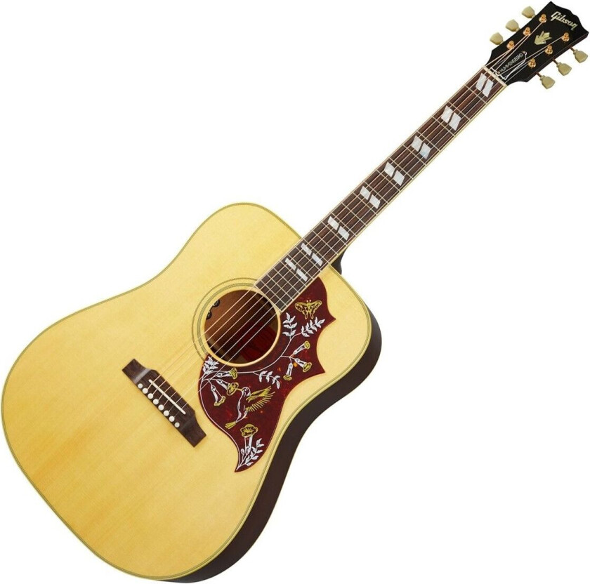 Hummingbird Original AN