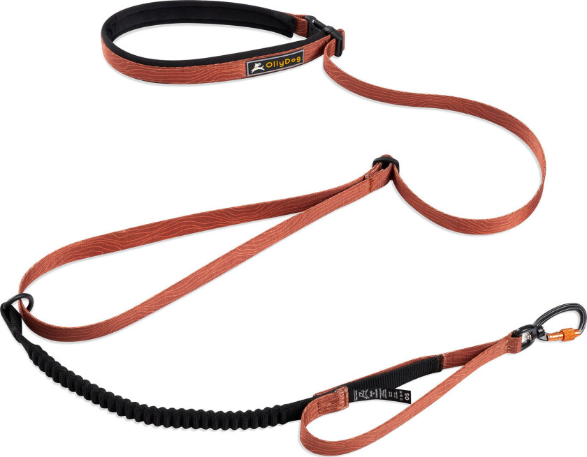 Flagstaff Adjustable Spring Leash Clay One Size, Clay