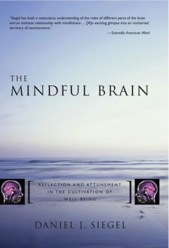 The Mindful Brain av Daniel J. M.D. (Mindsight Institute) Siegel