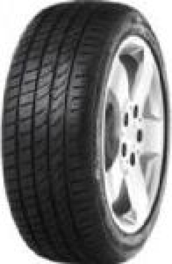 ULTRA*SPEED 2 185/55 R15 82V 2019