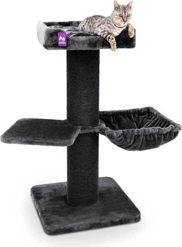 Maine Coon 117 Klorestativ Katt Pepper