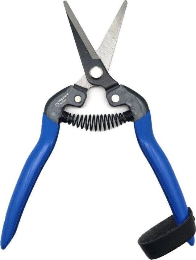 Hagesaks Manzana-Nules tico-m110c