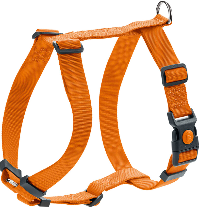 HUNTER Harness London Vario Rapid, oransje - Størrelse M: 58-101 cm i midjeomkrets