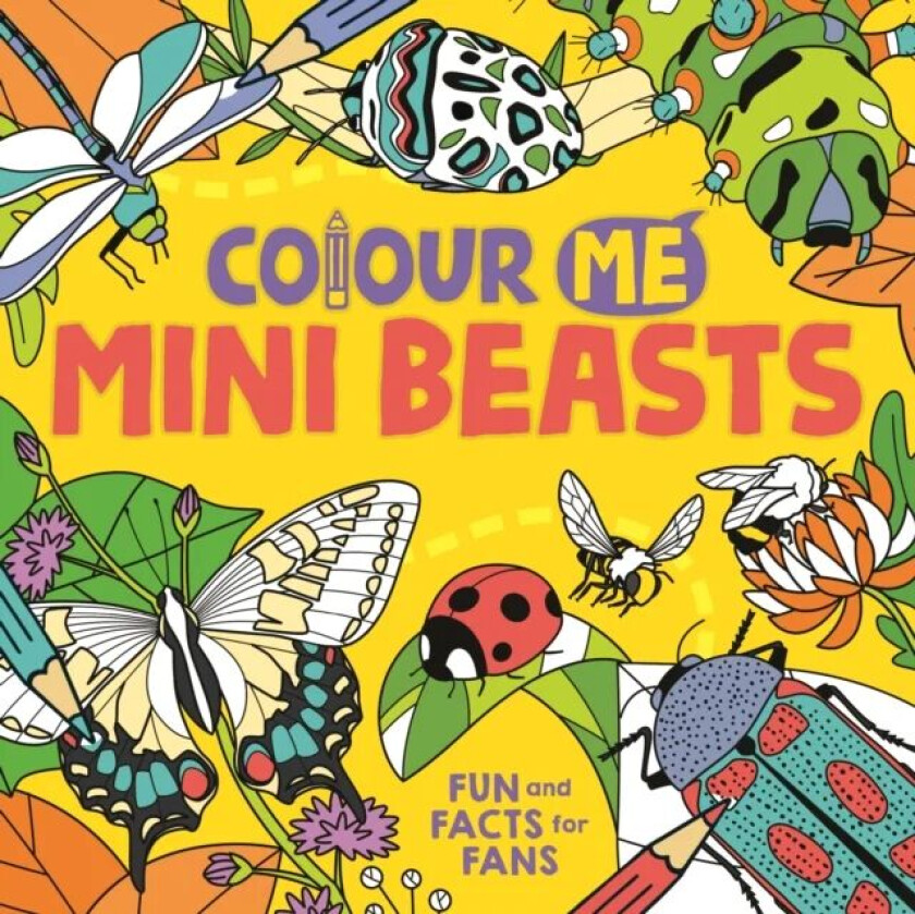 Colour Me: Mini Beasts av Daniela (Illustrator) Massironi