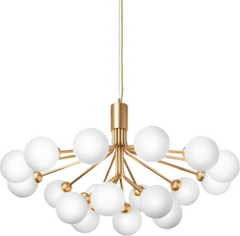 Bilde av Apiales 18 Brushed Brass/ Opal White