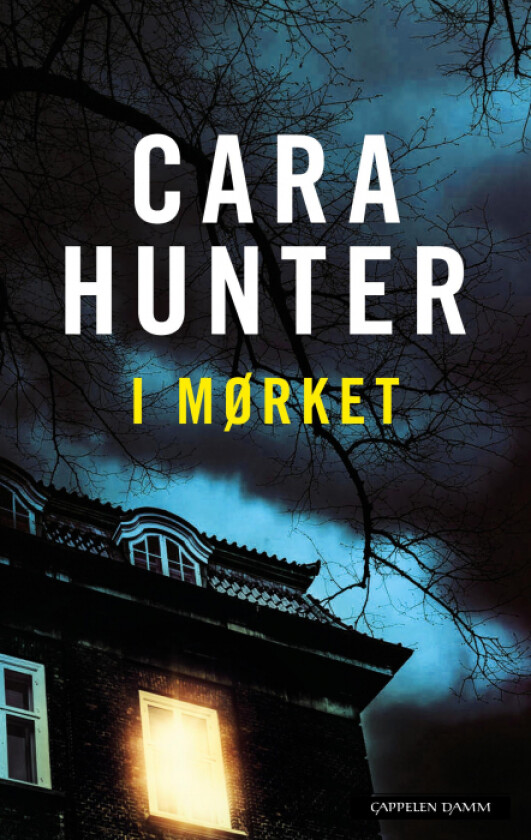 I mørket av Cara Hunter