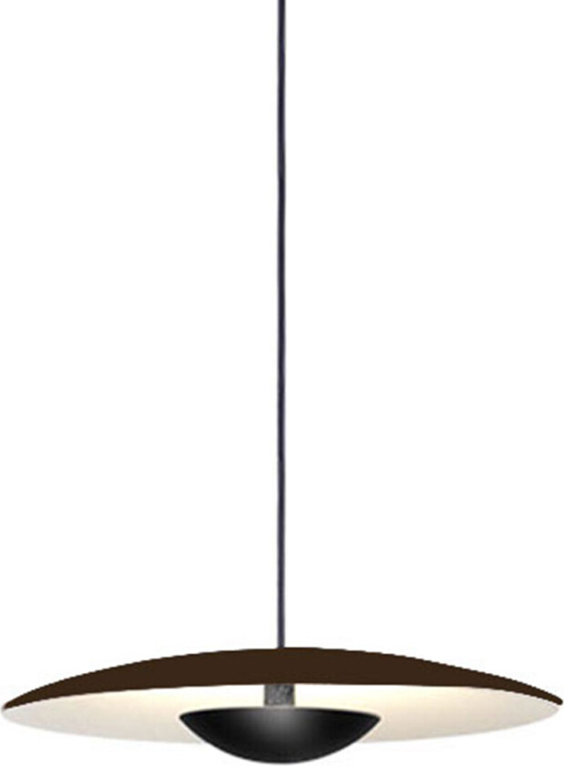 Ginger 20 - Wenge, White