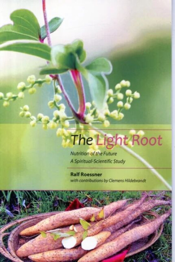 The Light Root av Ralf Roessner, Clemens Hildebrandt
