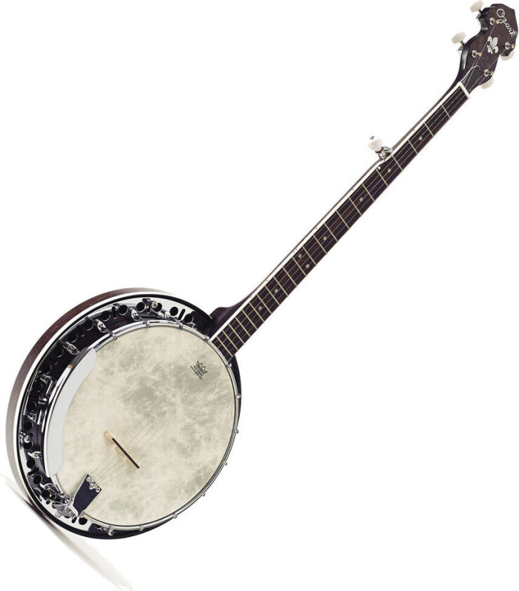 2306G 5-String Banjo Black