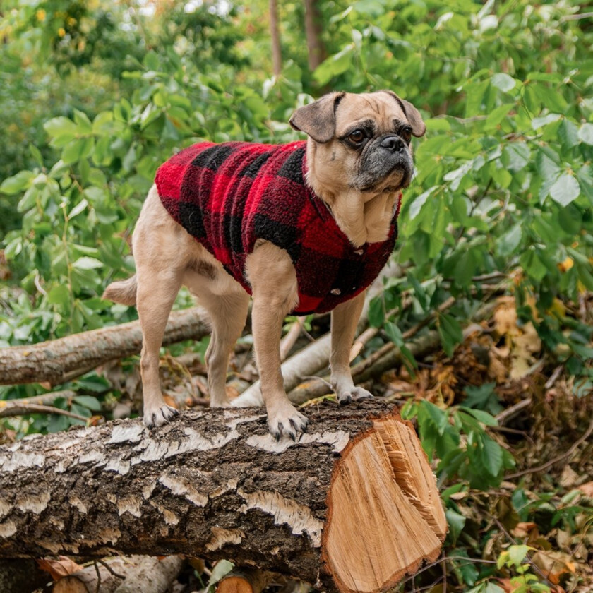 FuzzYard The Lumberjack Hundejakke Svart/Rød (4)