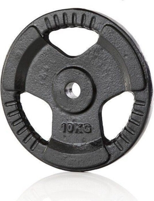 Bilde av Iron Weight Plate 10kg