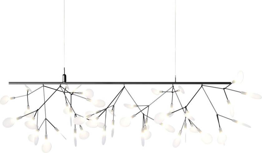 Heracleum III Endless / Nickel