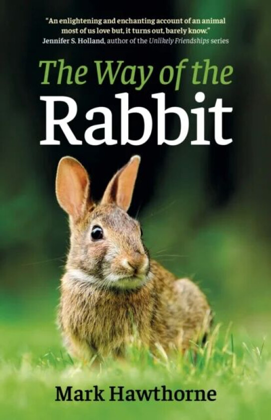 Way of the Rabbit, The av Mark Hawthorne