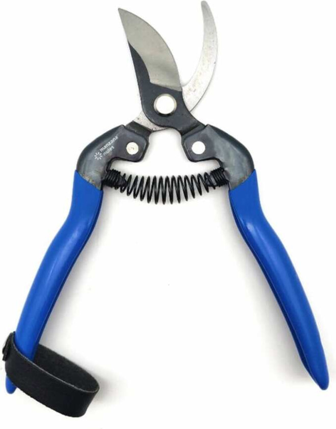 Hagesaks Manzana-Nules tico-m120