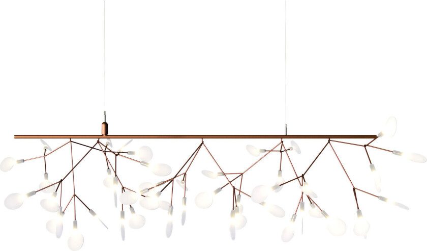 Heracleum III Endless / Copper