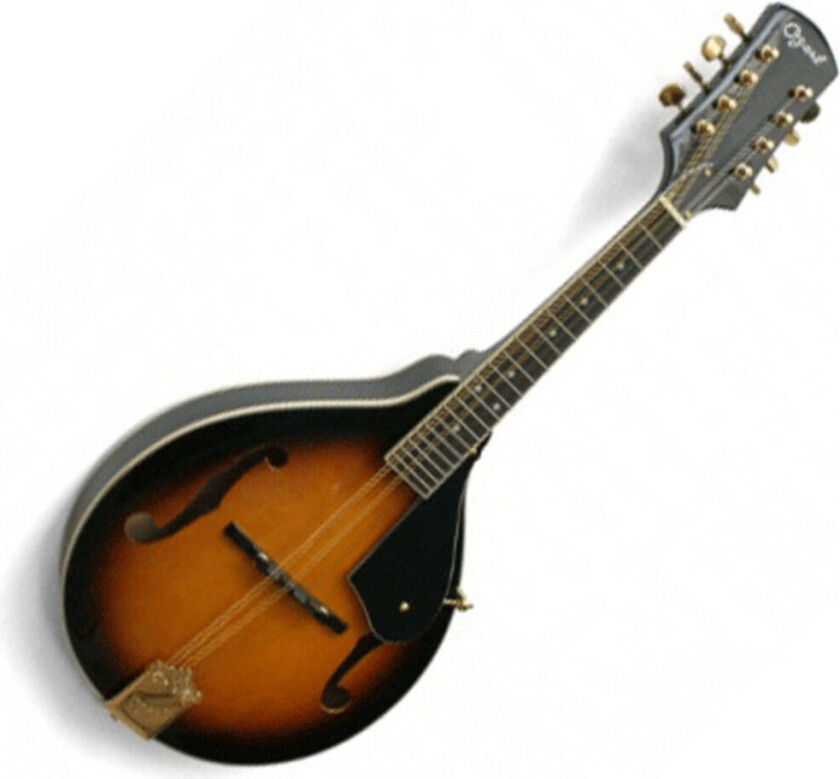 2073 All Solid Mandolin