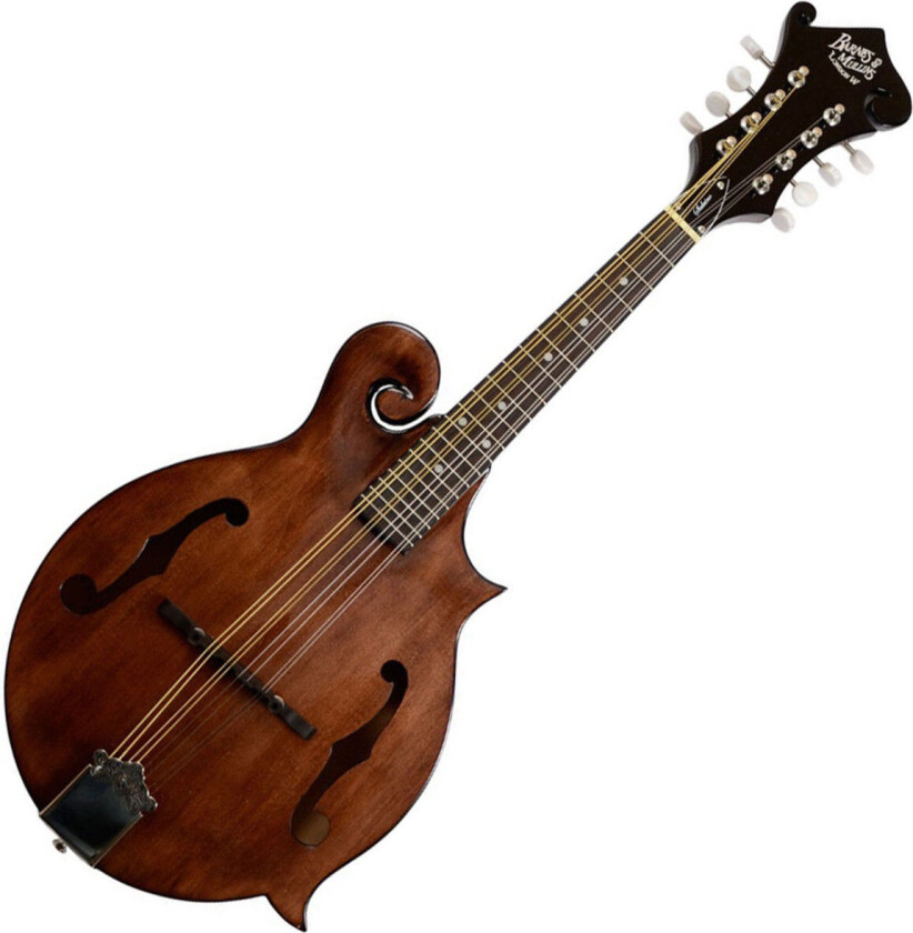 Bilde av Salvino Mandolin
