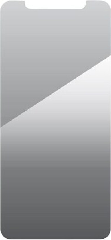 InvisibleShield Glass Elite VisionGuard+