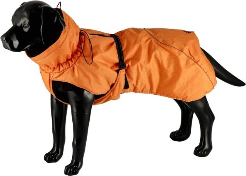 Bilde av Vinterdekken Pom ora 25