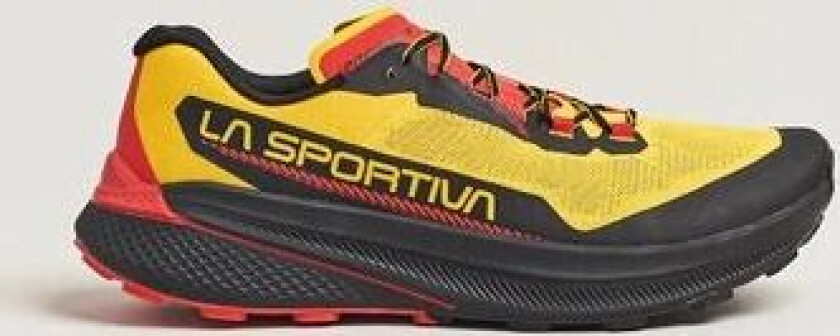 Prodigio Herre Yellow/Black 41