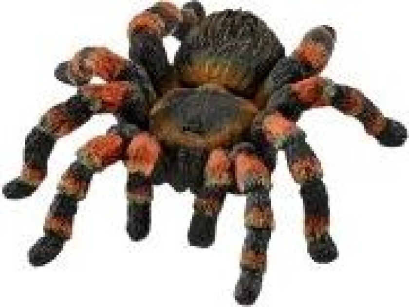 Bilde av Schleich Wild Life Tarantula