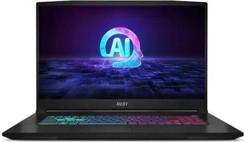 Msi Katana A17 Ai Ryzen 7 16gb 1000gb Ssd Rtx 4060 144hz 17.3"