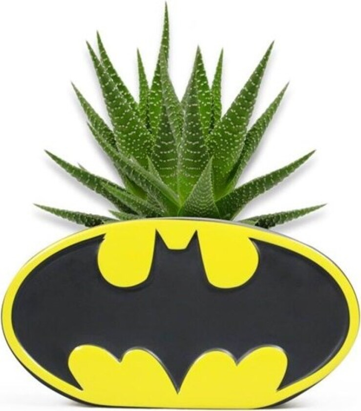 - Planter - Batman (Logo) - Vase