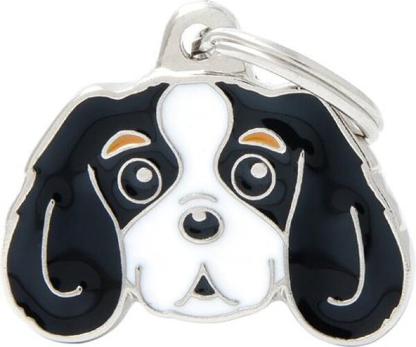 Tricolour Cavalier King ID Dog Tag