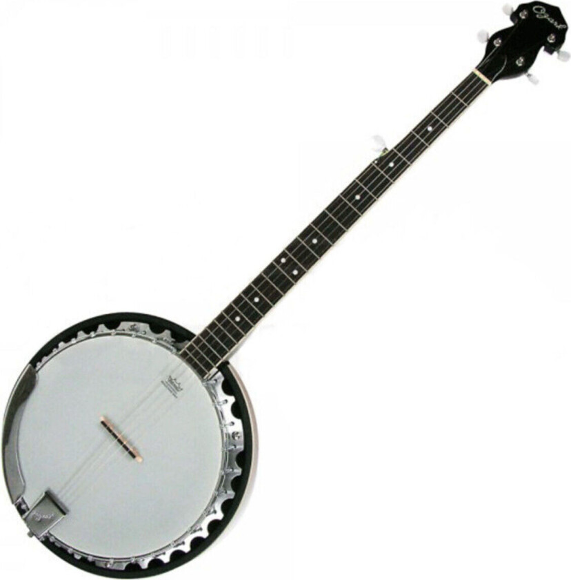 2104G 5 String Banjo with Gig Bag