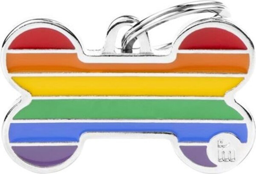 Rainbow Big Bone ID Tag
