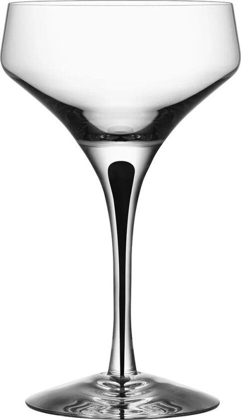 Metropol champagneglass 24 cl Svart