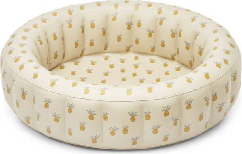 Jeanette Badebasseng Big, Pineapples