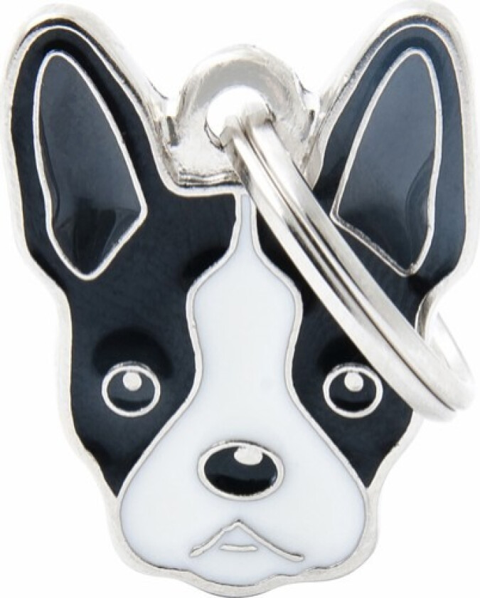 Boston Terrier Dog Tag
