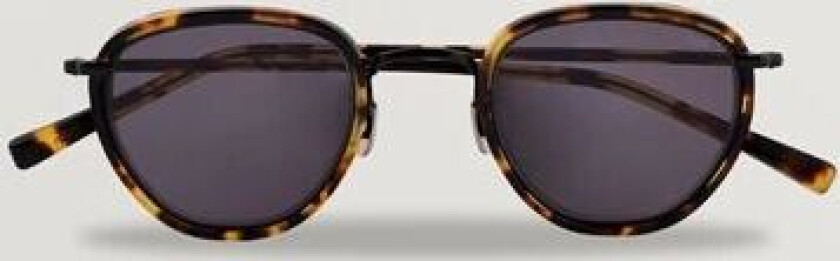 Eyevan 7285 787 Sunglasses Tortoise
