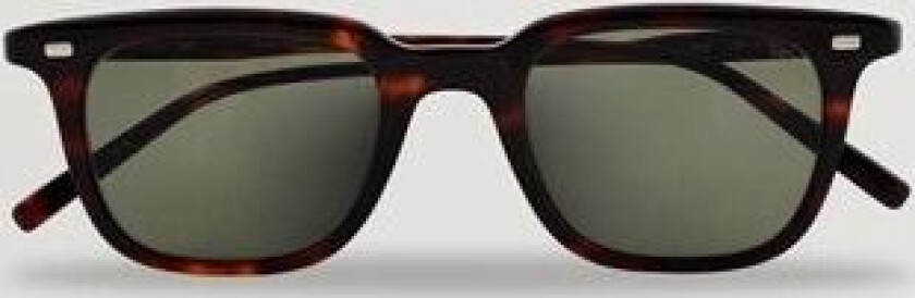 Eyevan 7285 359 Sunglasses Tortoise